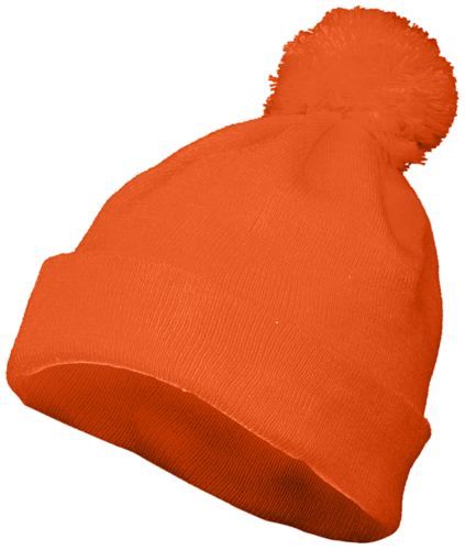 Pom Beanie 6816